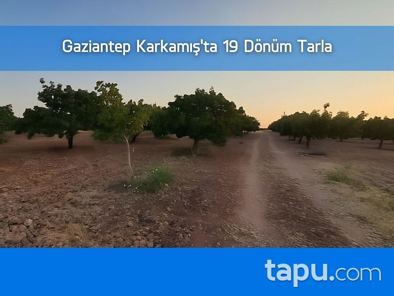Gaziantep Karkamış'ta 19 Dönüm Tarla