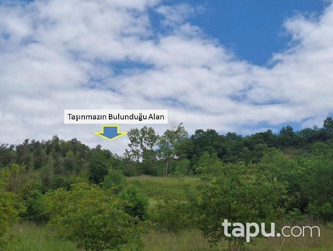 Bursa Mustafakemalpaşa'da 5 Dönüm Tarla
