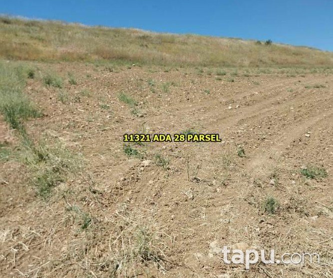 Eskişehir Tepebaşı'nde 7 Dönüm Hisseli Tarla