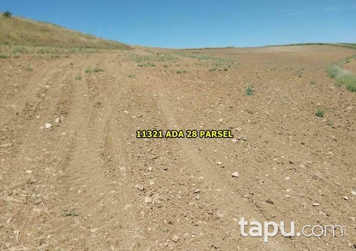 Eskişehir Tepebaşı'nde 7 Dönüm Hisseli Tarla