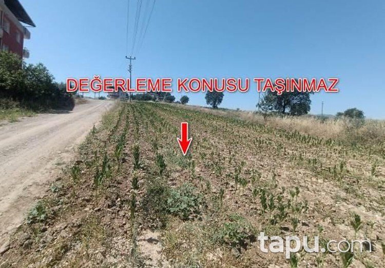 Manisa Köprübaşı'nde Hisseli Konut İmarlı Arsa