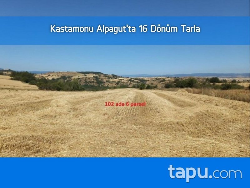 Kastamonu Alpagut'ta 16 Dönüm Tarla