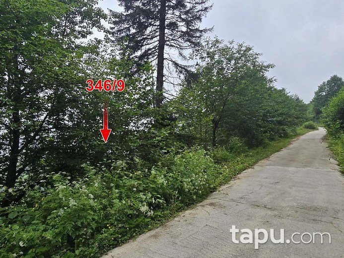 Trabzon Araklı Çukurçayır'da Hisseli Çayırlık