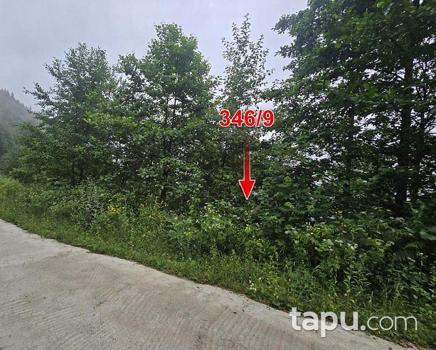 Trabzon Araklı Çukurçayır'da Hisseli Çayırlık