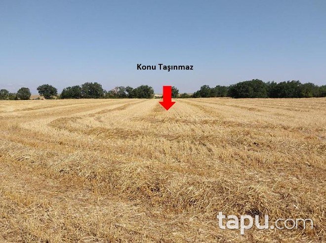 Kırklareli Pınarhisar Cevizköy'de Hisseli 7 Dönüm Tarla