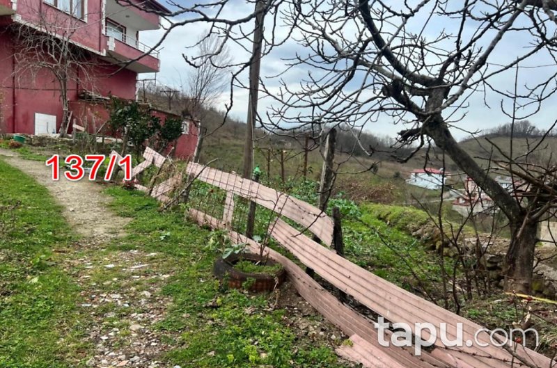 Giresun Piraziz'de Harman Ve Kagir İki Katlı Bina