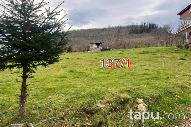 Giresun Piraziz'de Harman Ve Kagir İki Katlı Bina
