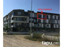 tapu com