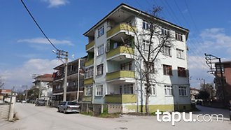 tapu com