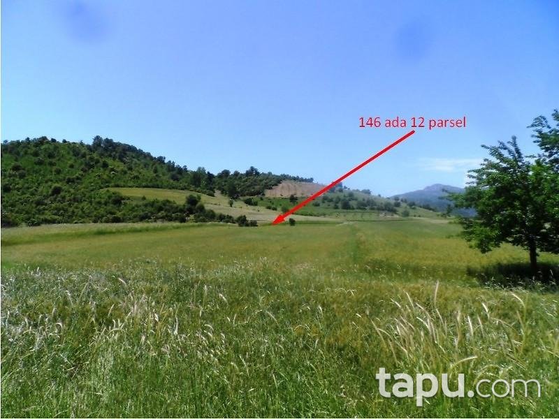 Adana Feke Pasali Mahallesinde 2 Adet Tarla Adana Feke Sahibinden Tarla Ilanlari Tapu Com Da