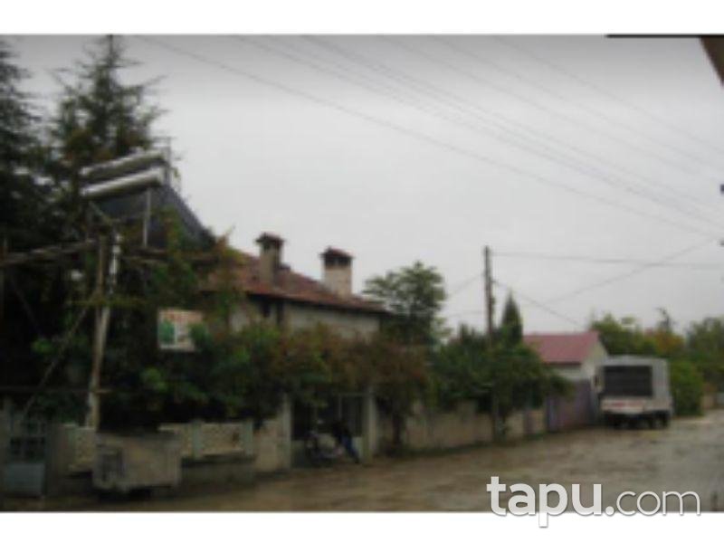 tapu com