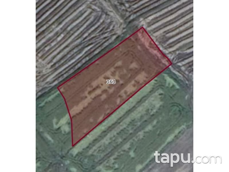 Edirne Havsa Serbettar Koyunde 2 Donum Tarla Edirne Havsa Bankadan Tarla Ilanlari Tapu Com Da