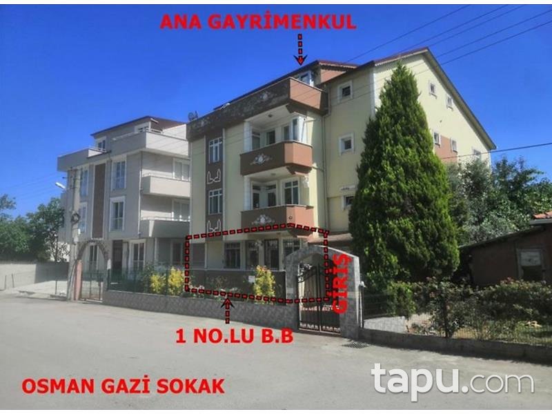 tapu com