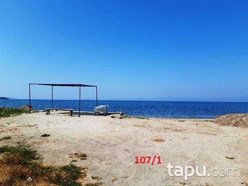 balikesir gomec keremkoy de denize sifir 230 donum balikesir gomec sahibinden satilik bag bahce ilanlari tapu com da