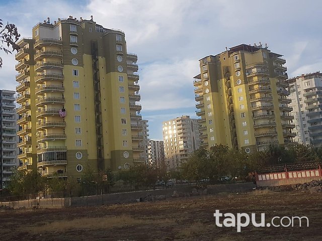 tapu com