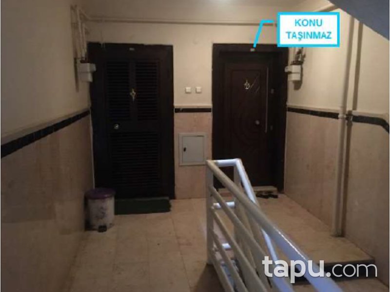 tapu com
