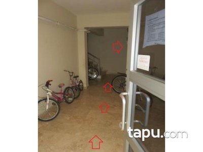 tapu com