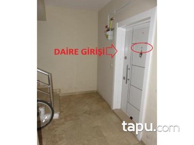 tapu com