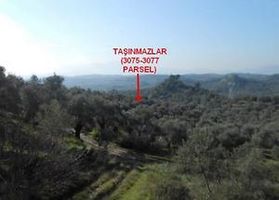 Aydın Germencik'te 3 Dönüm Tarla