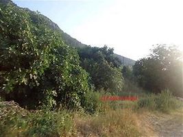 Bilecik Söğüt'te Arsa 250 m²