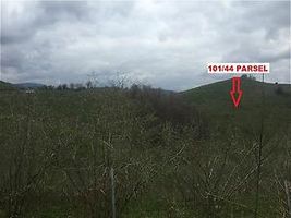 Sakarya Kocaali'de Fındıklık Arsası