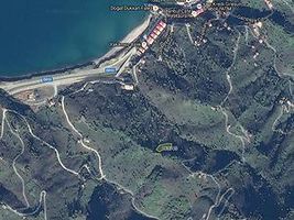 Giresun Tirebolu'da 1851 m2 Fındık Bahçesi