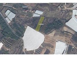 Antalya Alanya İmamlı Köyü'nde 3857 m2 Tarla