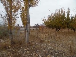 Isparta Senirkent'te 5 Adet 18.317 m2 Tarla