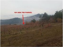 Sakarya Geyve Sekiharman'da 6427 m2 Bahçe