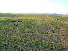 Yozgat Şefaatli Kabacıoğlu'nda 13200 m2 Tarla