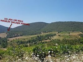 Sakarya Geyve Sekiharman'da 4346 m2 Tarla