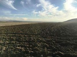 Afyonkarahisar Çobanlar Göynük Köyünde 9.100 m2 Arsa