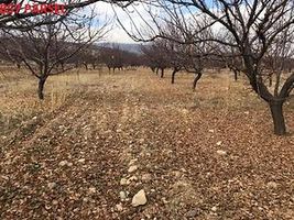 Isparta Yalvaç Aşağıkarşıkara Köyünde 14350 m2 Tarla