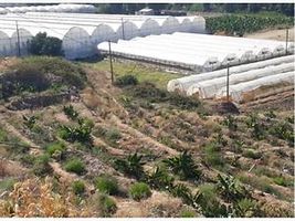 Antalya Gazipaşa Beyobaşı Mahallesi'nde İmarlı 596 m2 Arsa