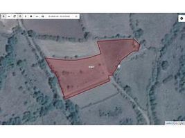 Kütahya Tavşanlı Değirmisaz Köyünde 4.646 m2 Tarla