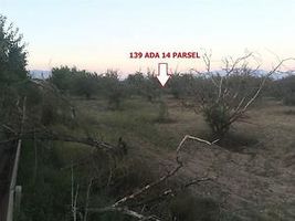 Denizli Çivril Yassıhöyük Mahallesi 2461m2 Bağ