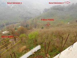 Ordu Ünye Yazkonağı Mahallesi'nde 1232 m2 Fındık Bahçesi