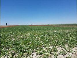 Konya Karatay İsmil Köyünde 20 Dönüm Tarla