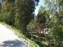 İzmir Çiğli Esentepe Mahallesinde Hisseli 1 m2 İmarlı Arsa