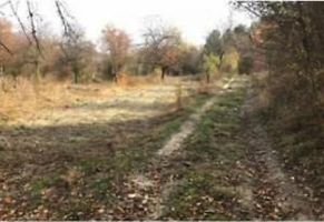 Ankara Nallıhan Çalıcaalan Köyünde 3659 m2 Tarla