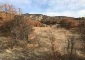 Ankara Nallıhan Çalıcaalan Köyünde 3381 m2 Tarla