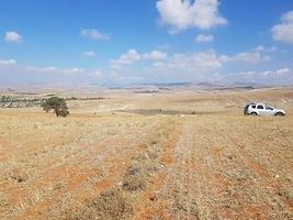 Afyonkarahisar Çobanlar Göynük 9500m2 Tarla