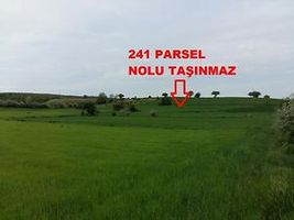 Tokat Yeşilyurt Damlalı Köyünde 5000 m2 Tarla