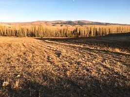 Afyonkarahisar Çobanlar'da 3195m2 Sebze Bahçesi