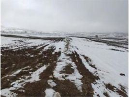 Afyonkarahisar Bolvadin Yörükkaracaören Köyü 18 Dönüm Tarla