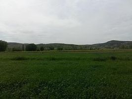 Tokat Yeşilyurt Ekinli Köyünde 22446 m2 Tarla