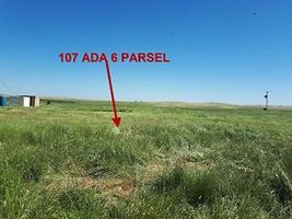 Şanlıurfa Haliliye Yolyazı Mahallesinde 12 Dönüm Tarla