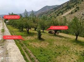 Van Gevaş Kuşluk Mahallesi'nde Kepiç Tek Katlı Ev Ahır ve Bahçesi