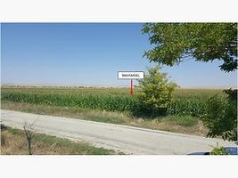 Afyonkarahisar Basmakçı Merkez Basmakçı Mahallesi'nde 16300m2 Tarla