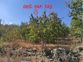 Tokat Merkez Kemalpaşa Mahallesi'nde 4373 m2 Tarla